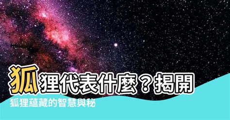 狐狸代表意義|狐狸的象徵意義